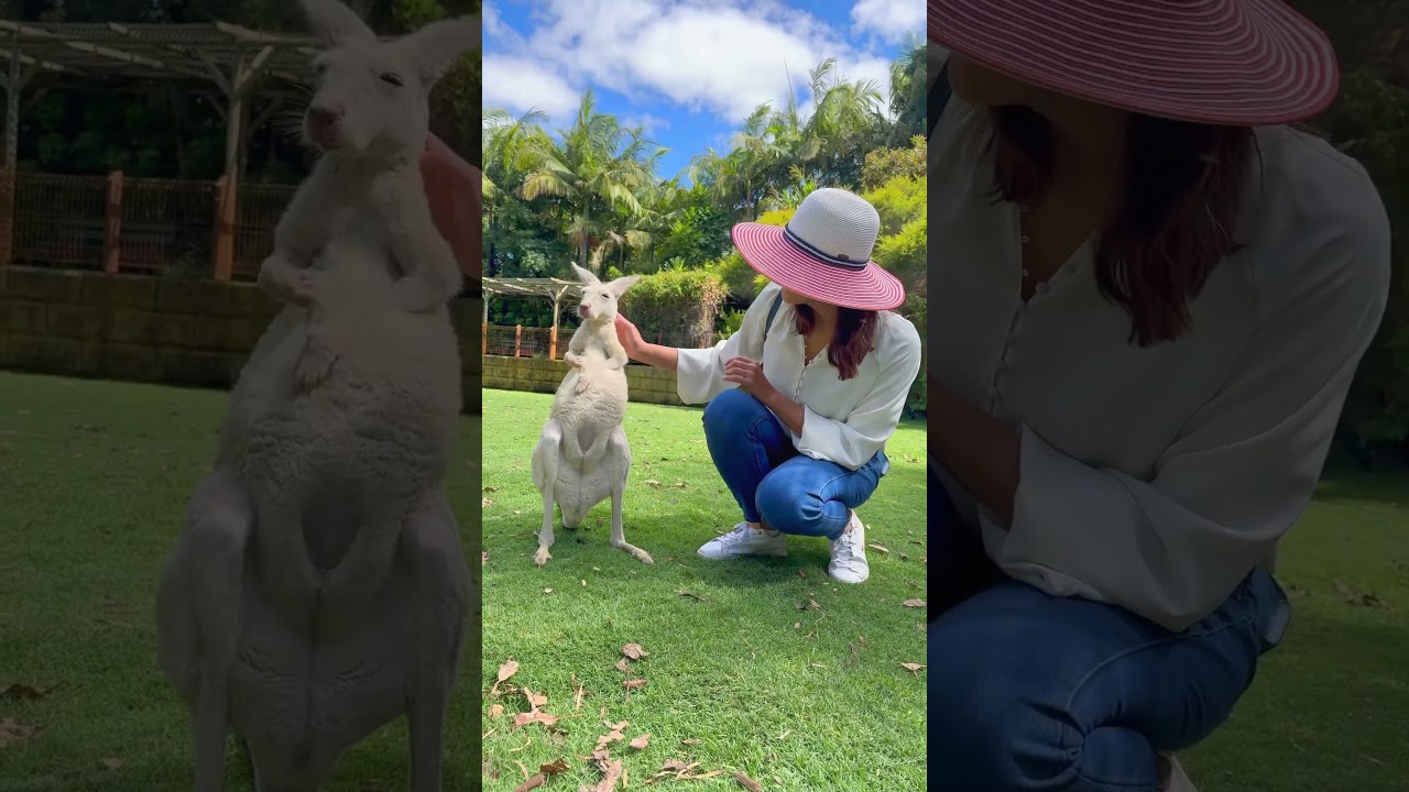 YouTube Short thumbnail