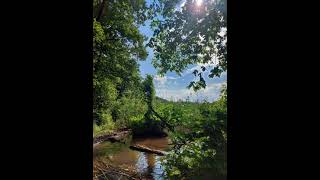 Lieven Gohl  - Lady Do Or Die ( Billy Idol 2005 )