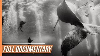Aquarium Of The World - Endangered Underwater World | Full Documentary