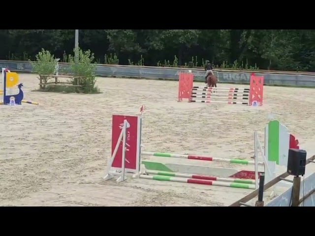 Jument 6 ans - pr&ecirc;te CSO amat 3 potentiel ++