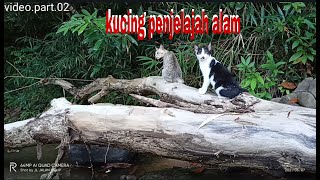 Download lagu karungut batu suli mp3