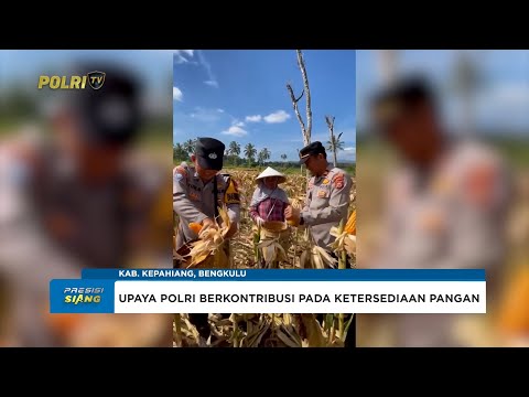 DUKUNG PROGRAM KETAHANAN PANGAN NASIONAL, POLSEK TEBAT KARAI &amp; FORKOPIMCAM PANEN JAGUNG BERSAMA
