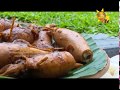 morning-show-segment-katata-rahata-15-11-2017