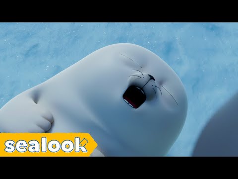 The Silence Breaker #031 | SEALOOK | EP.118