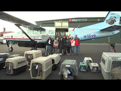 Street Dog Hero transports 28 dogs from Oklahoma shelter to Bend