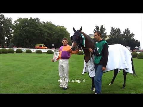 Al Khalediah Poland Cup - 20.08.2017 - SS Mothill (Nizam - Boundless)