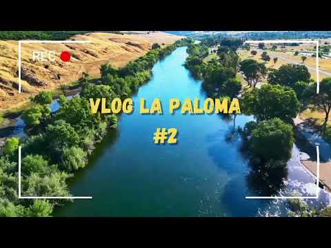 VLOG LA PALOMA #2 | Bus turístico, Laguna de Rocha, situación climatica del país.