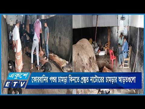 কোরবানির পশুর চামড়া কিনতে প্রস্তুত নাটোরের চামড়ার আড়তগুলো | ETV News