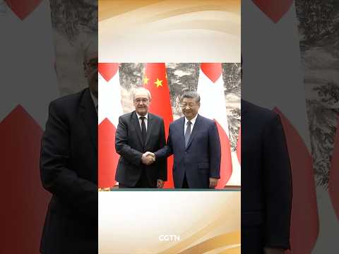 Chinese, Swiss presidents attend cooperation document signing ceremony