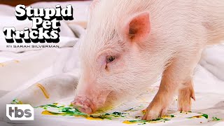 This Firehouse Pig Knows How To Paint (Clip) | Stupid Pet Tricks | TBS