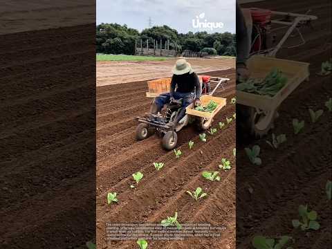 Automated seedling planter: revolutionizing small-scale farming