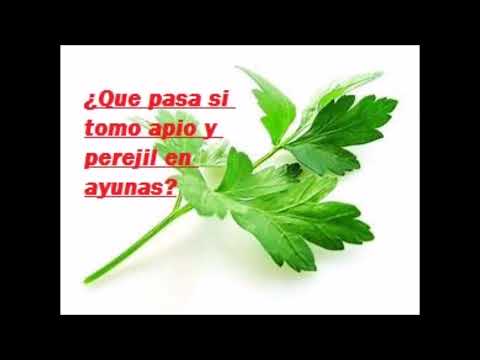 ¿Que pasa si tomo apio y perejil en ayunas- Salud para la gente de mi tierra