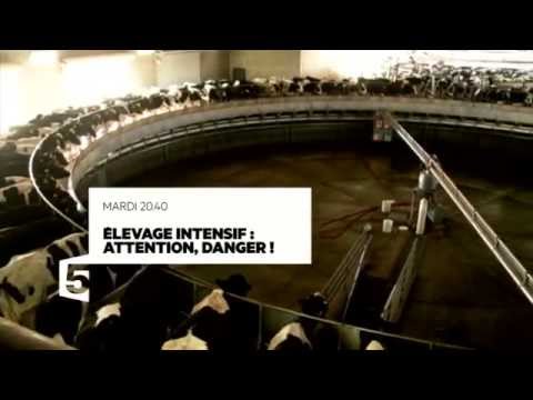 Bande-Annonce F5 - Le monde en face / Élevage intensif, attention danger !