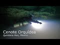 Diving Cenote Orquidea - Mexico