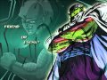 Piccolo Japanese Theme