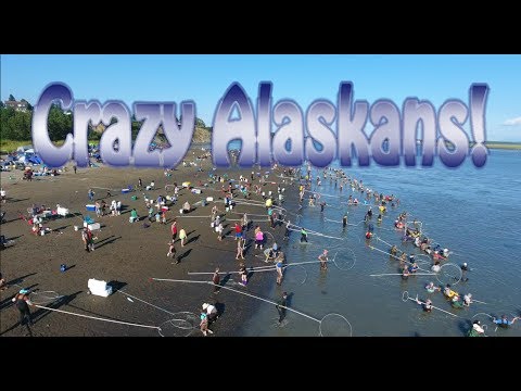 Craigslist Kenai Alaska