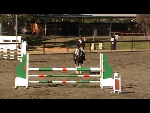 Big Valley Enzo - Showjumping