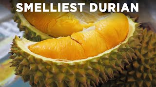 Tasting The World's Smelliest Fruit (Durian)