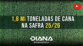 Diana Bioenergia espera moer 1,8 mi/t de cana na safra 25/26 e inaugura novo armazém de açúcar