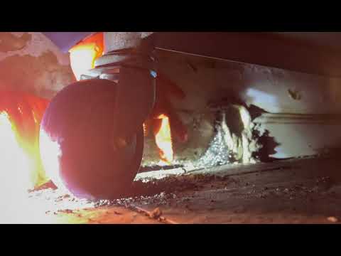 Stockroom Infiltrated by Mice in Windsor, NJ