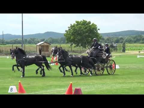 Luca CASSOTTANA (ITA) - CAI***, H4, Pleternica (Croatia), cones, 25.06.2023