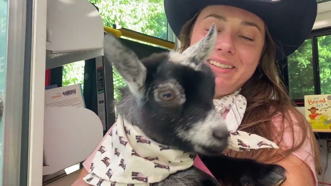 Promotional video thumbnail 1 for Pygmy Goat Parties & Petting Zoos