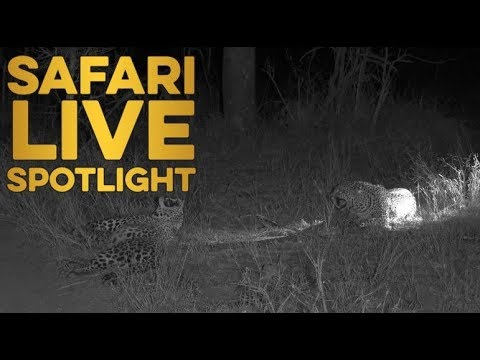 Hosana and Tingana enjoy some father and son bonding