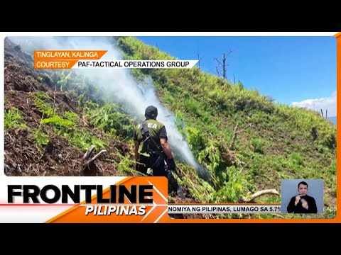 Higit P861-M marijuana na nakuha sa bundok sa Kalinga, sinira at sinunog Frontline Pilipinas