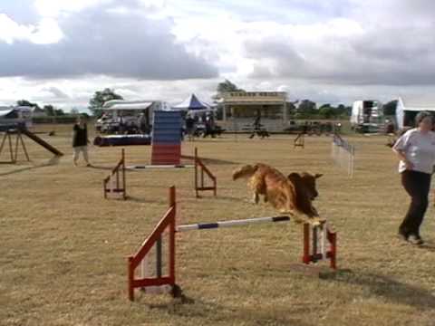 Zac C1-2 Agility 100710 Diamond.mpg