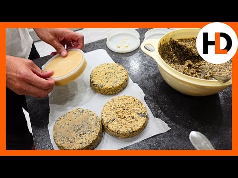 I Made 4 Suet Recipes. Birds Chose 1!