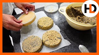 I Made 4 Suet Recipes. Birds Chose 1!