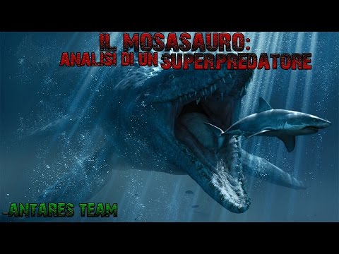 Il Mosasauro: Analisi di un Superpredatore