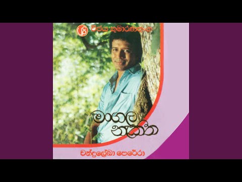 Rallen Rallata Version 02