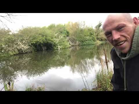 Start to my tench fishing.