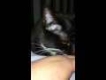 Navi Kisses In Slow Motion