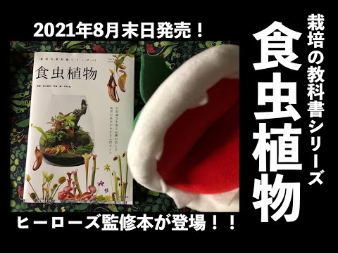 ピッチャープラント 植物