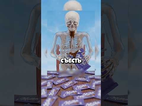 ДУШНИЛА № 338