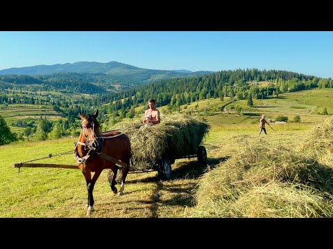 The real rhythm of simple rural life in the Carpathian Mountains