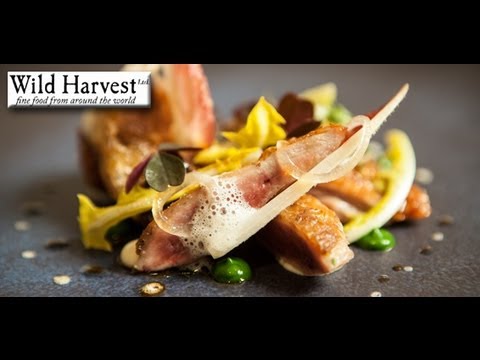 Michelin Starred chef Marcus Eaves: Cooks quail salad & rapsberry and coconut dessert recipes