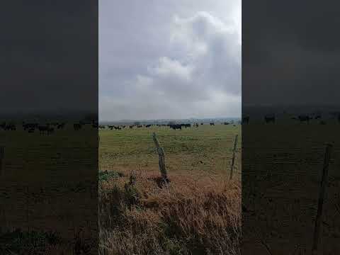 Aldea San Miguel. Dpto. Parana. Entre Rios. 10