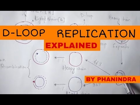 DNA REPLICATION part 1 BY PHANINDRA GUPTA