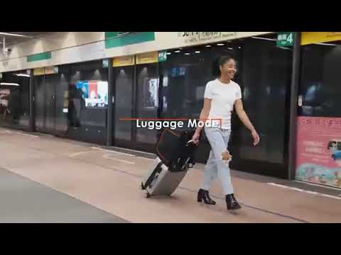 Gambar Ibiyaya Jetpaw Stroller Hewan 3 In 1 - Hitam