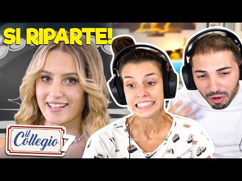 COLLEGE 7 🏫 REACTION TO THE BACKSTORIES (here we go!)