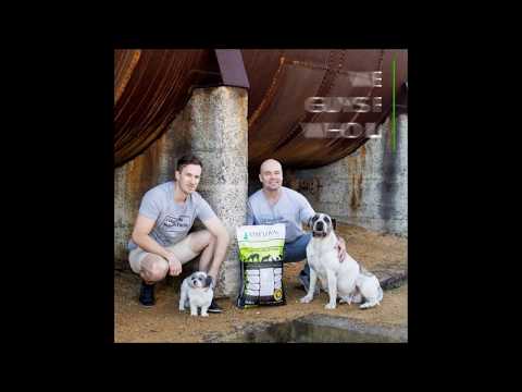 Stay Loyal intro video