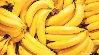 30,000 Lbs of Bananas | Harry Chapin | UNOFFICIAL MUSIC VIDEO | [CWTV]