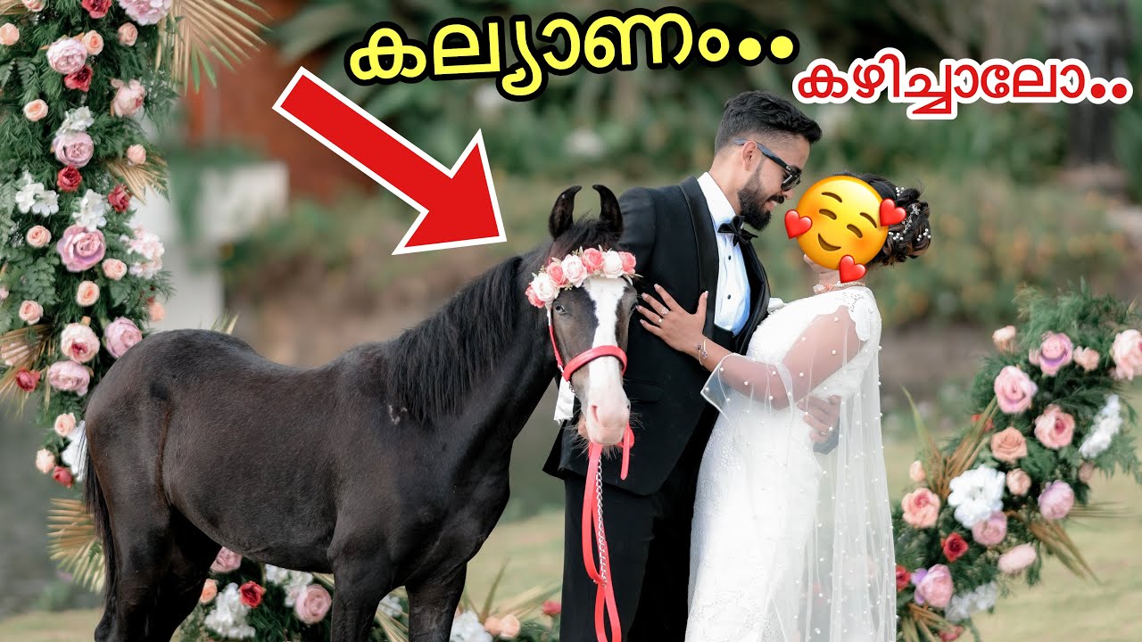 ഞങ്ങളുടെ“Love Story”…പിന്നെ..കല്യാണം..| I Got Married