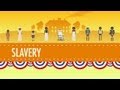 Slavery Crash Course US History 13