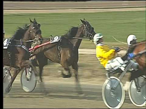 Trotto 17/02/2017 - 3ª corsa