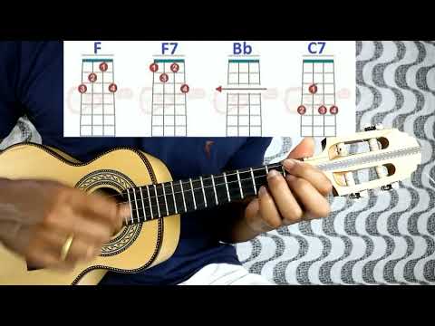 Papagaio - Dudu Nobre