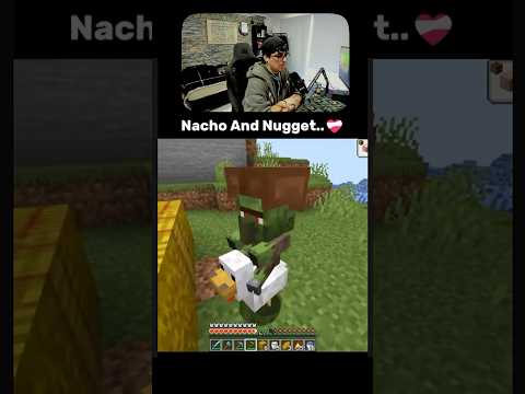 Nacho And Nugget  #minecraft